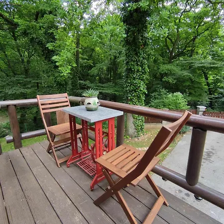 Pola
