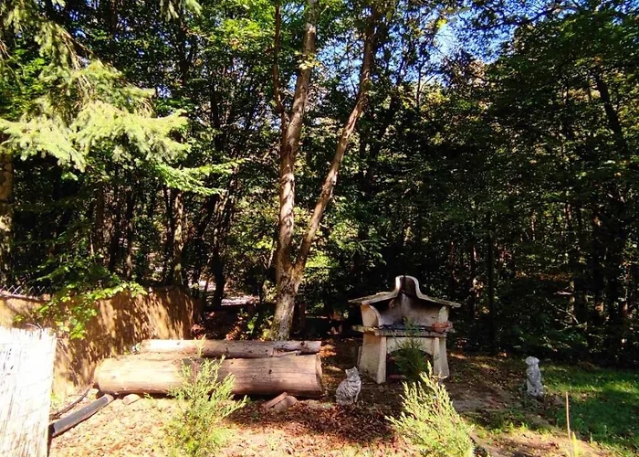 Pola Vendeghaz